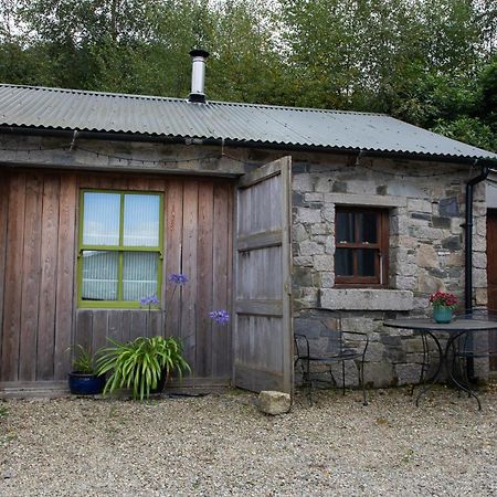 A Cosy Place In The Heart Of The Mournes Kilcoo Exteriör bild